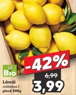 Kaufland Lămâi Ofertă