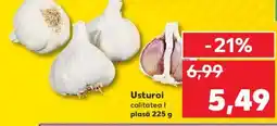 Kaufland Usturoi Ofertă