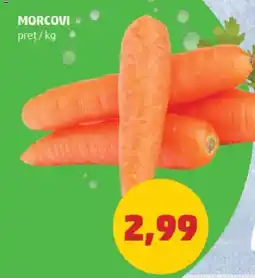 Penny MORCOVI Ofertă