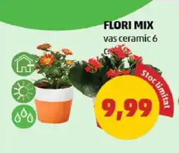 Penny FLORI MIX Ofertă