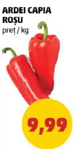 Penny ARDEI CAPIA ROȘU Ofertă