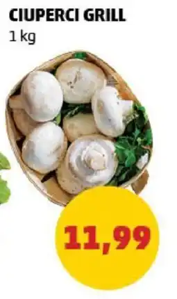 Penny CIUPERCI GRILL Ofertă