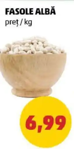FASOLE ALBĂ