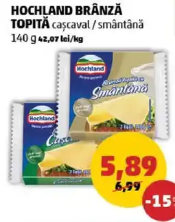 Penny HOCHLAND BRÂNZĂ TOPITA Ofertă