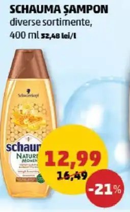 Penny SCHAUMA ŞAMPON Ofertă