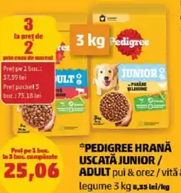 PEDIGREE HRANĂ USCATĂ JUNIOR/ ADULT