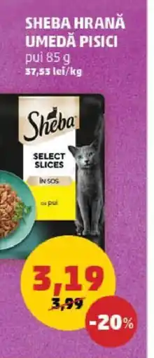 Penny SHEBA HRANĂ UMEDĂ PISICI Ofertă