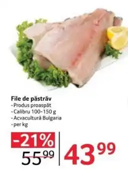 Selgros File de păstrăv Ofertă