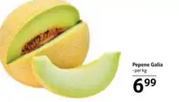 Pepene Galia