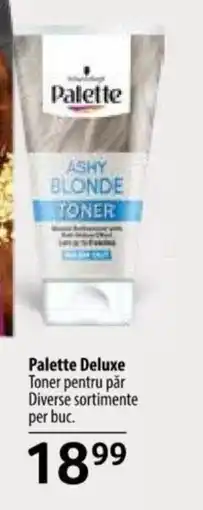 Selgros Palette Deluxe Toner pentru păr Ofertă