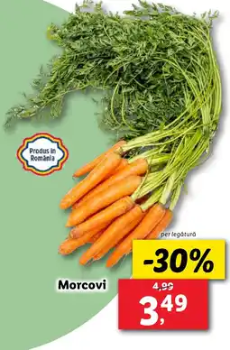 Lidl Morcovi Ofertă