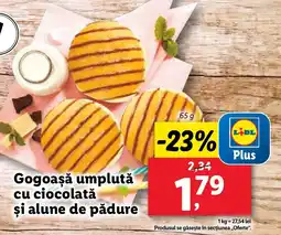 Lidl Gogoaşă umplută cu ciocolată şi alune de pădure Ofertă