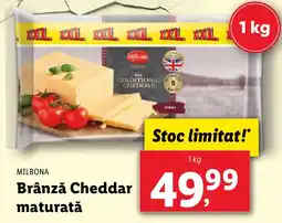 Lidl MILBONA Brânză Cheddar maturatǎ Ofertă