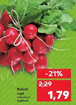 Ridichi roşii