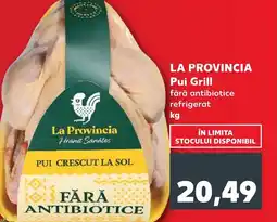 Kaufland LA PROVINCIA Pui Grill Ofertă