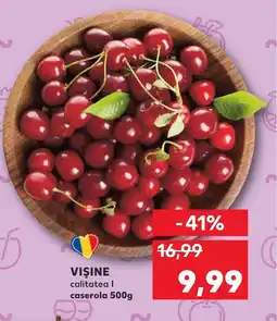 Kaufland VIŞINE Ofertă