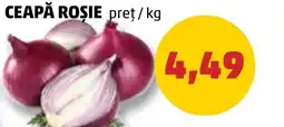Penny CEAPĂ ROSIE Ofertă