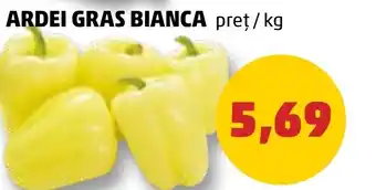 Penny ARDEI GRAS BIANCA Ofertă