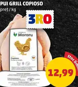 Penny PUI GRILL COPIOSO Ofertă