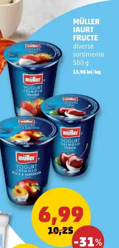 Penny MÜLLER IAURT FRUCTE Ofertă