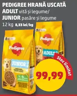 PEDIGREE HRANĂ USCATĂ ADULT