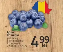 Supeco Afine România Ofertă
