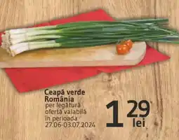 Supeco Ceapă verde România Ofertă