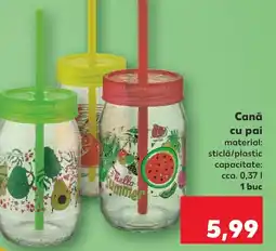 Kaufland Cană cu pai Ofertă