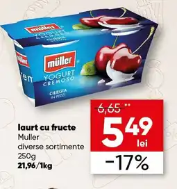 PROFI laurt cu fructe Muller 250g Ofertă