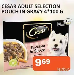 Unicarm CESAR ADULT SELECTION POUCH IN GRAVY 4*100 G Ofertă