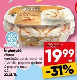 PROFI Îngheţată Aloma Ofertă