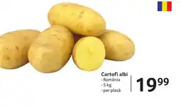 Selgros Cartofi albi Ofertă