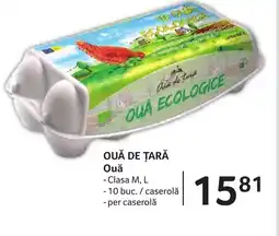 OUĂ DE ȚARĂ Ouǎ