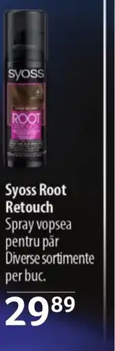 Selgros Syoss Root Retouch Spray vopsea pentru păr Ofertă