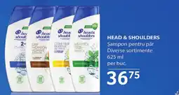 Selgros HEAD & SHOULDERS Şampon pentru păr Ofertă