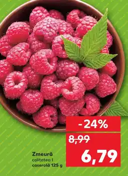 Kaufland Zmeură Ofertă