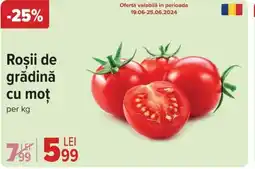 Roşii de grădină cu moţ