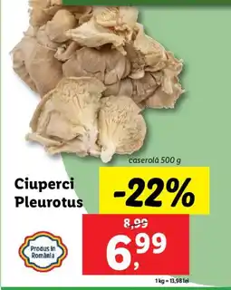 Lidl Ciuperci Pleurotus Ofertă