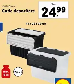 Lidl LIVARNO home Cutie depozitare Ofertă