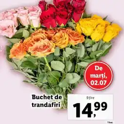 Lidl Buchet de trandafiri Ofertă