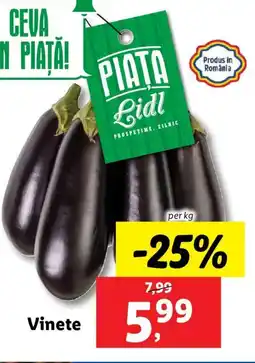 Lidl Vinete Ofertă