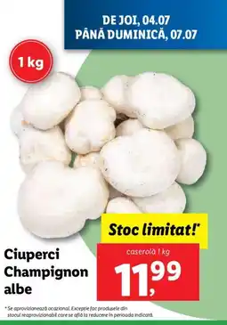Lidl Ciuperci Champignon albe Ofertă