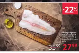 Selgros File de pangasius Ofertă