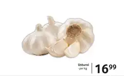 Selgros Usturoi Ofertă