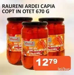 Unicarm RAURENI ARDEI CAPIA COPT IN OTET 670 G Ofertă