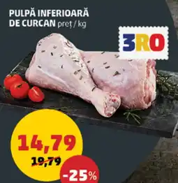 PULPĂ INFERIOARĂ DE CURCAN