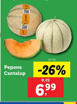 Lidl Pepene Cantalup Ofertă
