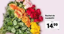 Lidl Buchet de trandafiri Ofertă