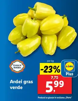 Lidl Ardei gras verde Ofertă