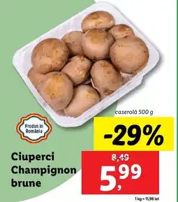 Lidl Ciuperci Champignon brune Ofertă